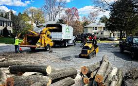 Best Seasonal Cleanup (Spring/Fall)  in Audubon Park, NJ