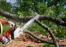 Soil Testing and Treatment in Audubon Park, NJ